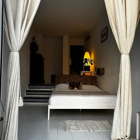Sunny Casita In Jesus